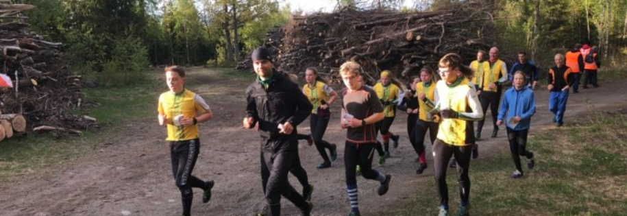 Tirsdagstrening Våk skol